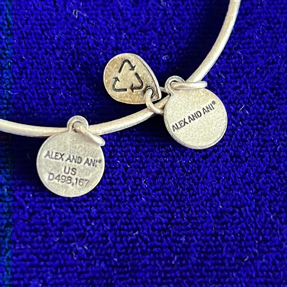 Alex and Ani path life